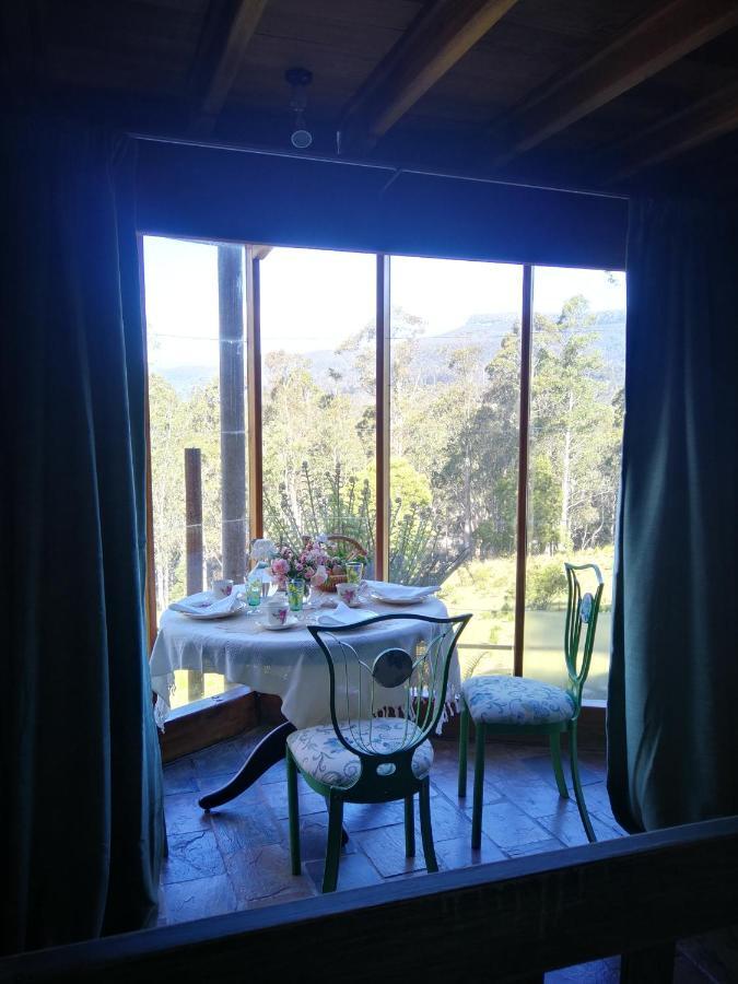 Happy Nest Appartement Jackeys Marsh Buitenkant foto